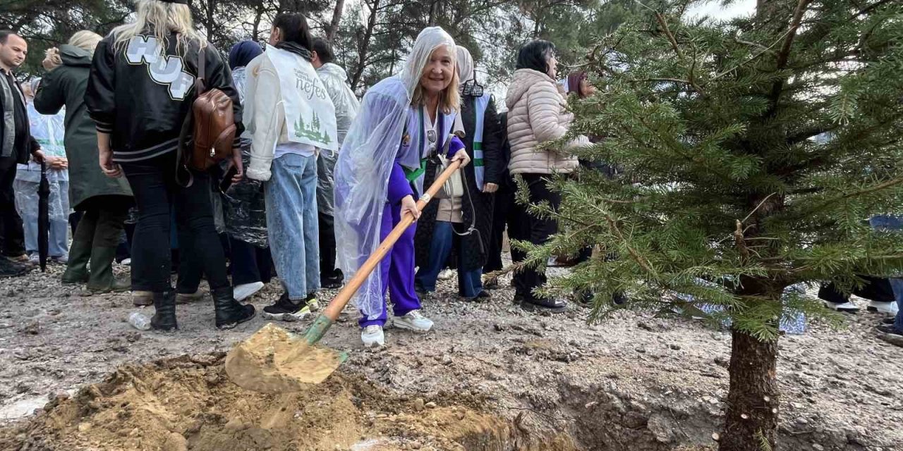 İzmir’de 115 bin fidan toprakla buluştu