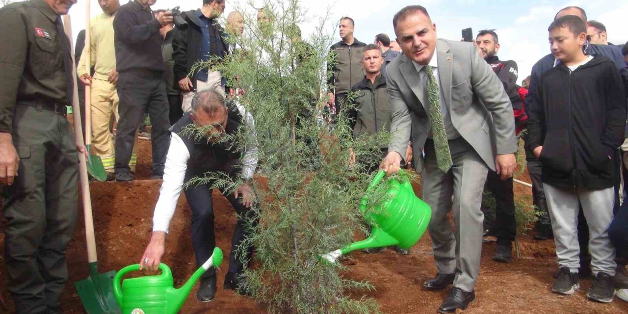 Muğla’da 33 bin fidan toprak ile buluştu