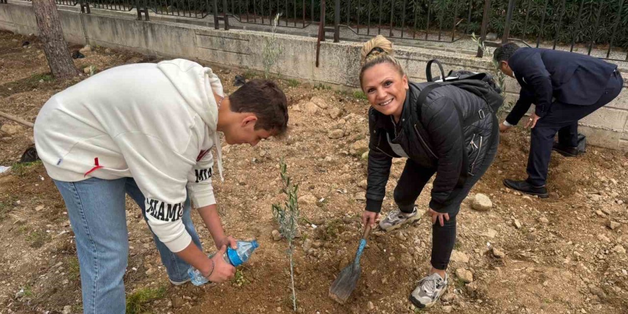 Okul bahçesine 60 zeytin fidanı dikildi
