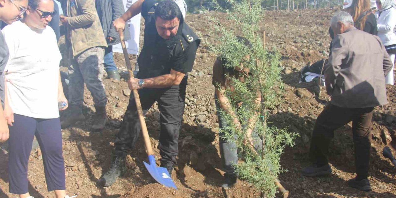 Marmaris, ‘Milli ağaçlandırma ‘gününde 3 bin fidanı toprakla buluşturdu