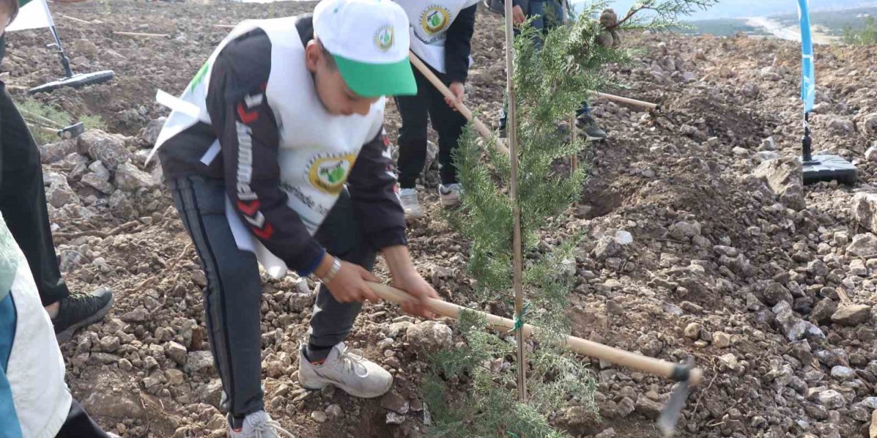 Denizli’de yanan alanlarda binlerce fidan toprakla buluştu