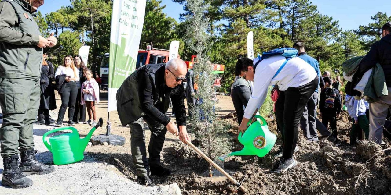 Çameli’de 11 Kasım Milli Ağaçlandırma Günü kapsamında fidanlar toprakla buluştu