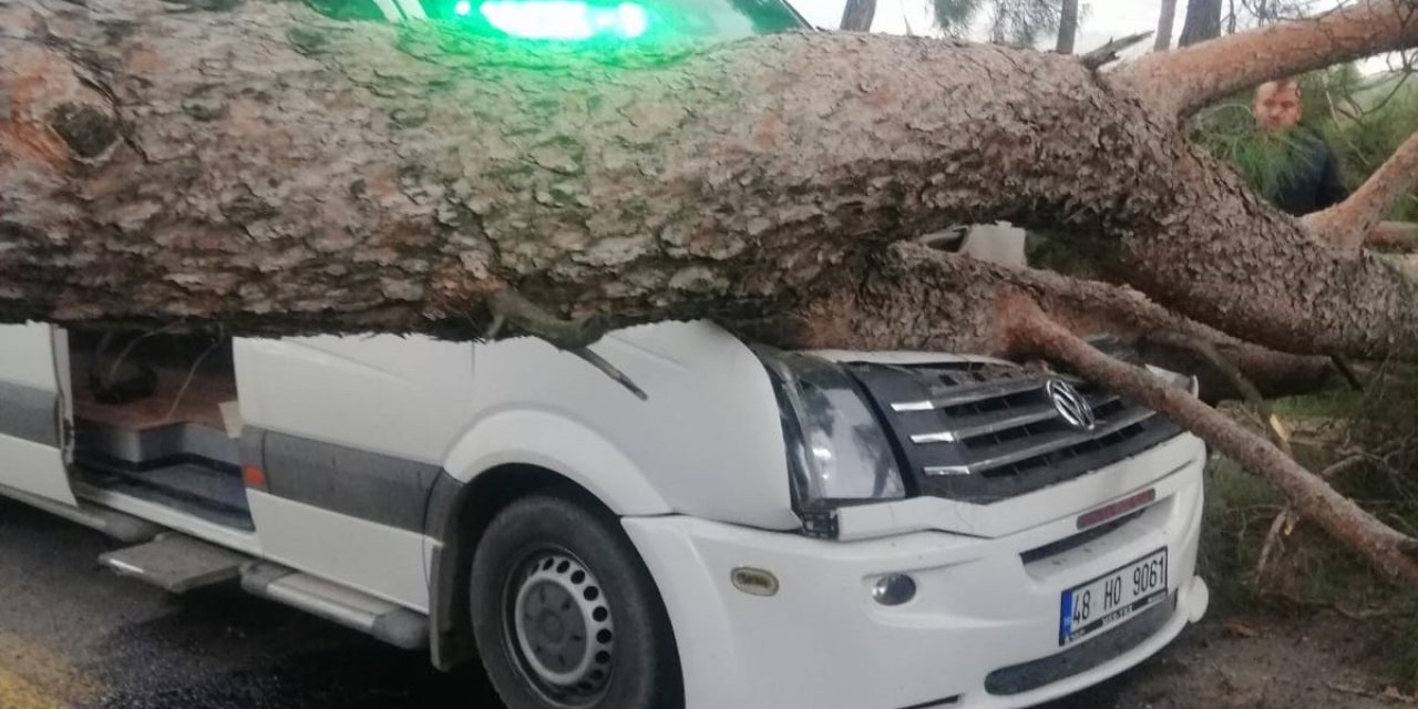 Seyir halindeki minibüsün üstüne ağaç devrildi