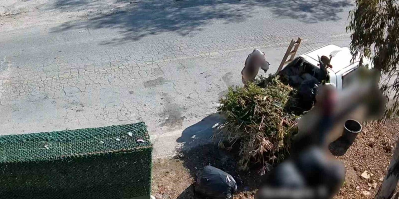 Bodrum’da çevreyi kirletenler belediye kamerasına yakalandı