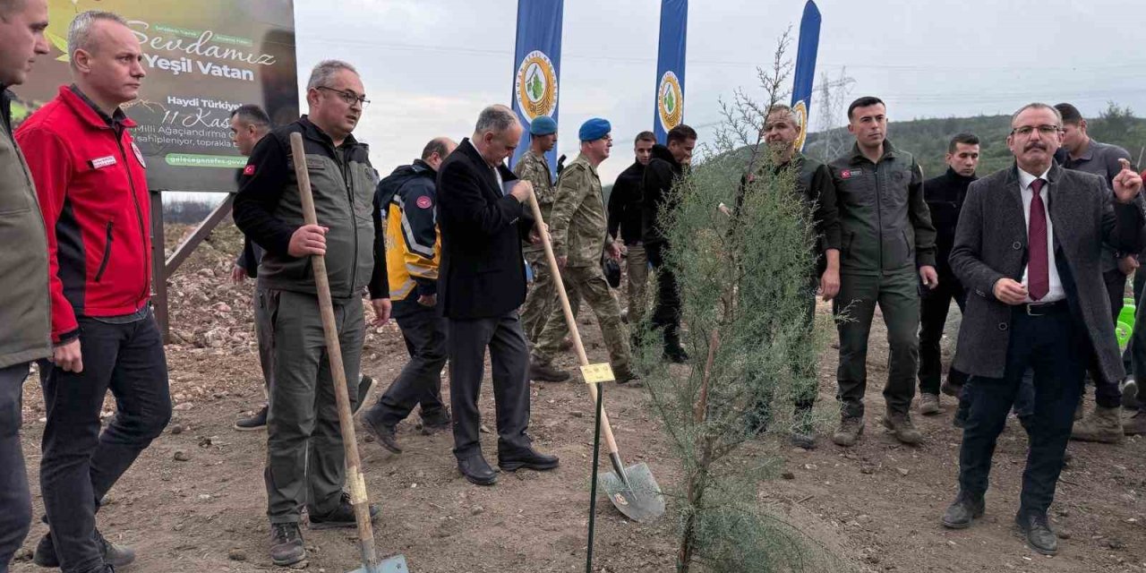 Manisa’da 2025 sonuna kadar 3,1 milyon fidan toprakla buluşacak