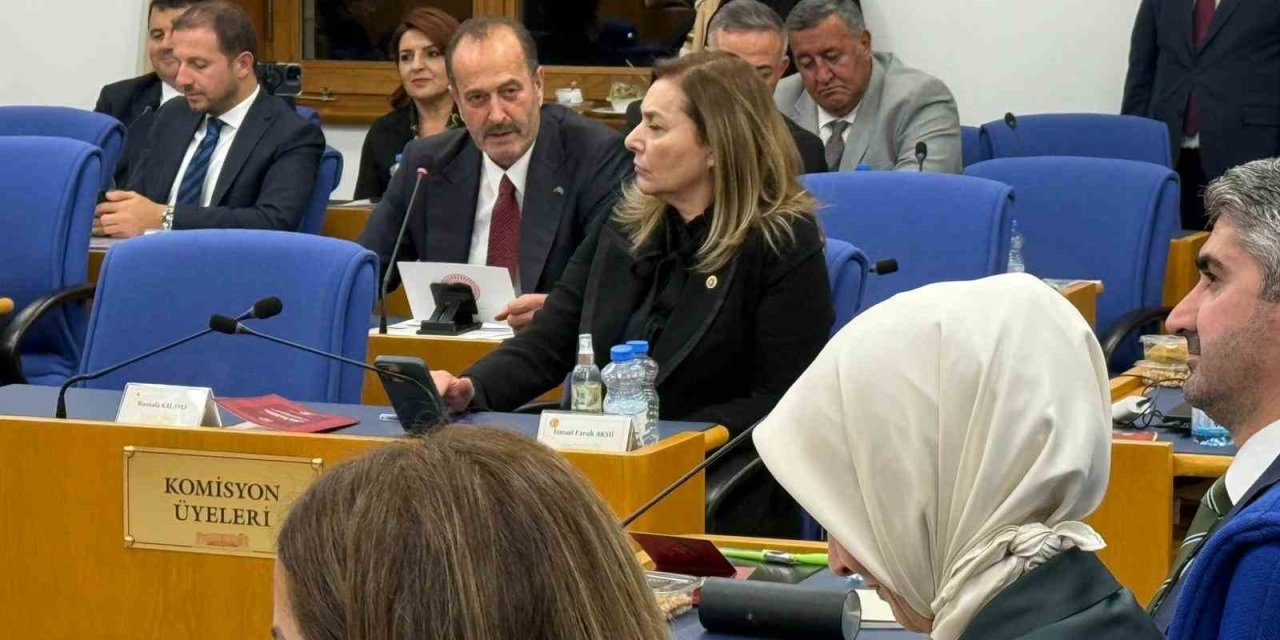 Tamer Osmanağaoğlu’ndan bütçe görüşmelerinde Aliağa vurgusu