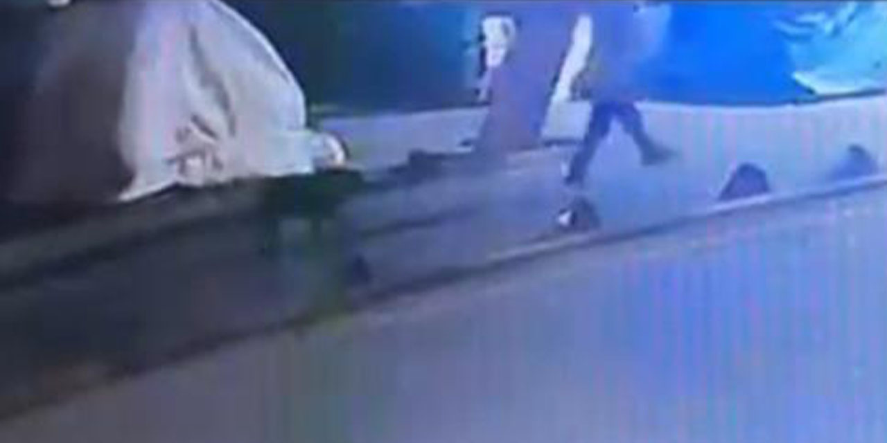 Sokak köpeğini vuran emekli  astsubay serbest bırakıldı