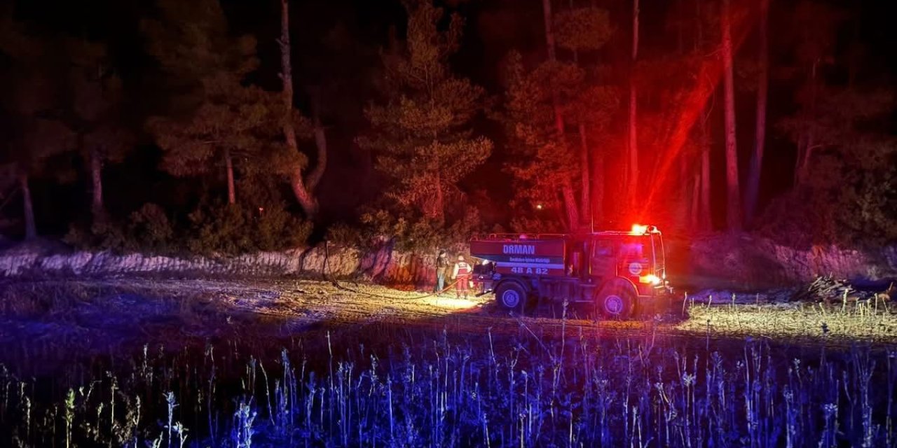 Muğla’da çıkan orman yangını kısa sürede kontrol altına alındı