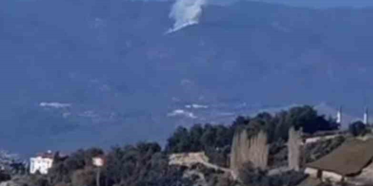 Seydikemer’de orman yangını