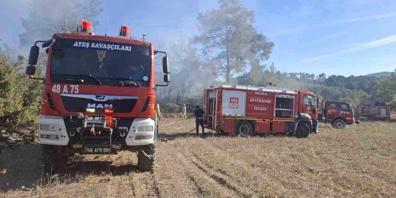 Yatağan’daki iki ayrı arazi yangını büyümeden söndürüldü