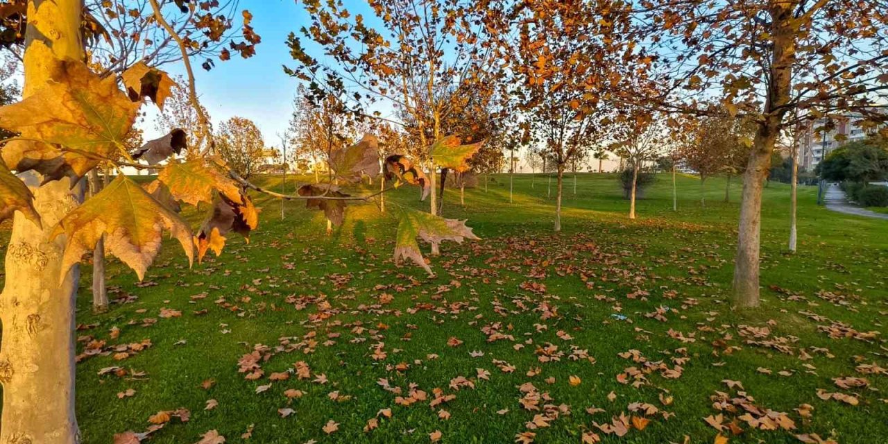 Güzelyurt sonbahar renklerine büründü