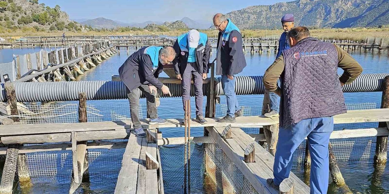 Köyceğiz Gölü, Dalyan ve İztuzu’nda denetim