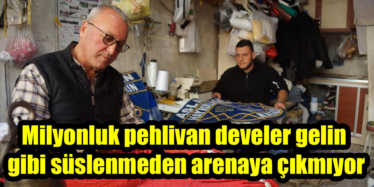 Milyonluk pehlivan develer gelin gibi süslenmeden arenaya çıkmıyor