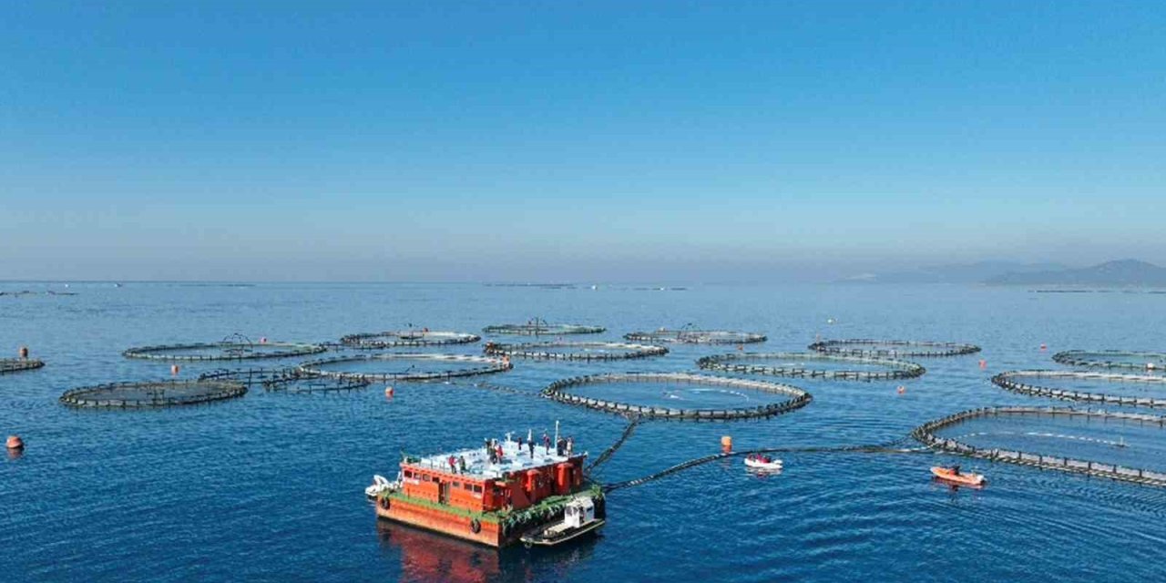 Aydın’da su ürünleri destekleme başvuruları başladı