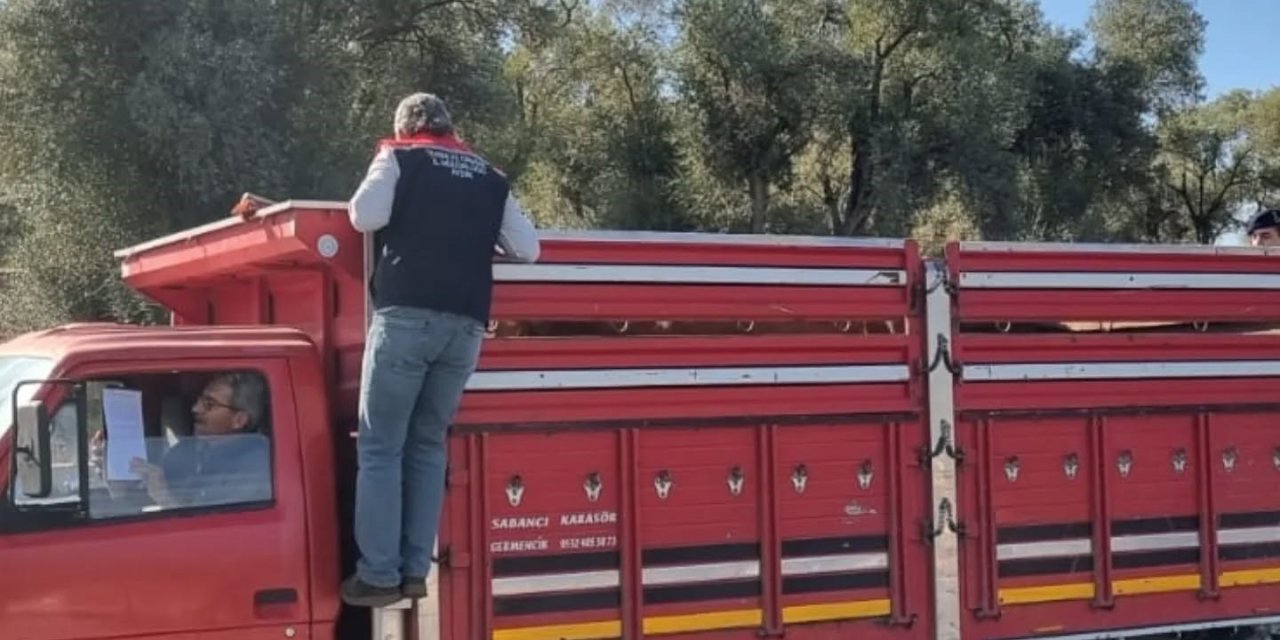 Karpuzlu’da hayvan sevkiyatına denetim