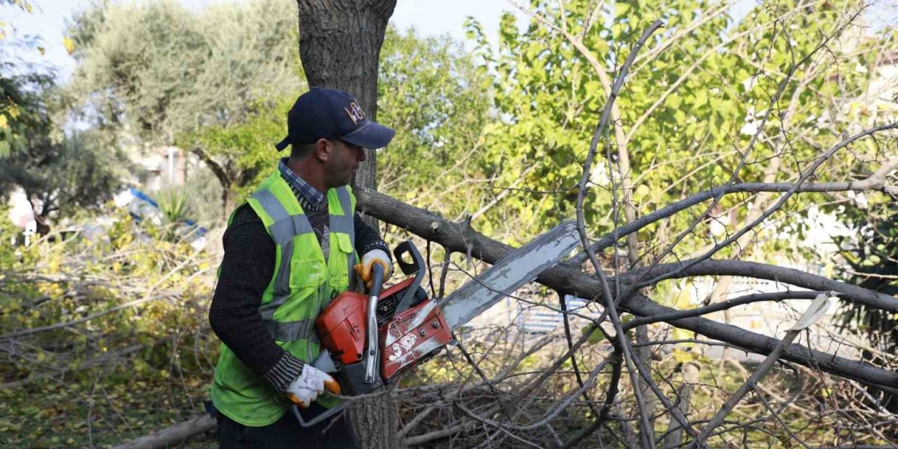 Aydın Büyükşehir Kemer Mahallesi’nde budama ve temizlik çalışması gerçekleştirdi