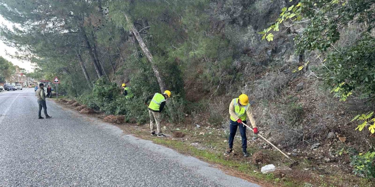 Milli Park’ta risk azaltma çalışmaları sürüyor