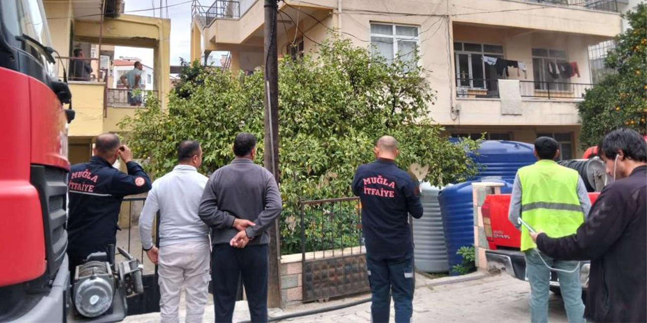 Ocakta unutulan yemekten çıkan yangında 2 kedi telef oldu