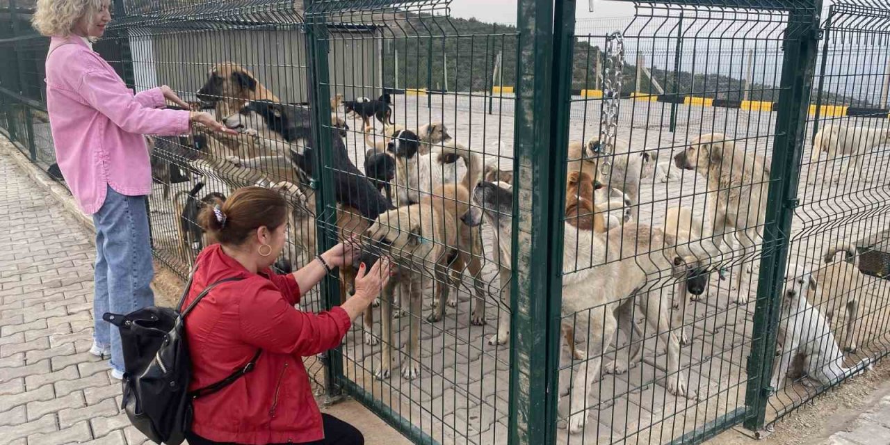 Alaşehir’de 30 dönümlük doğal yaşam alanı açıldı