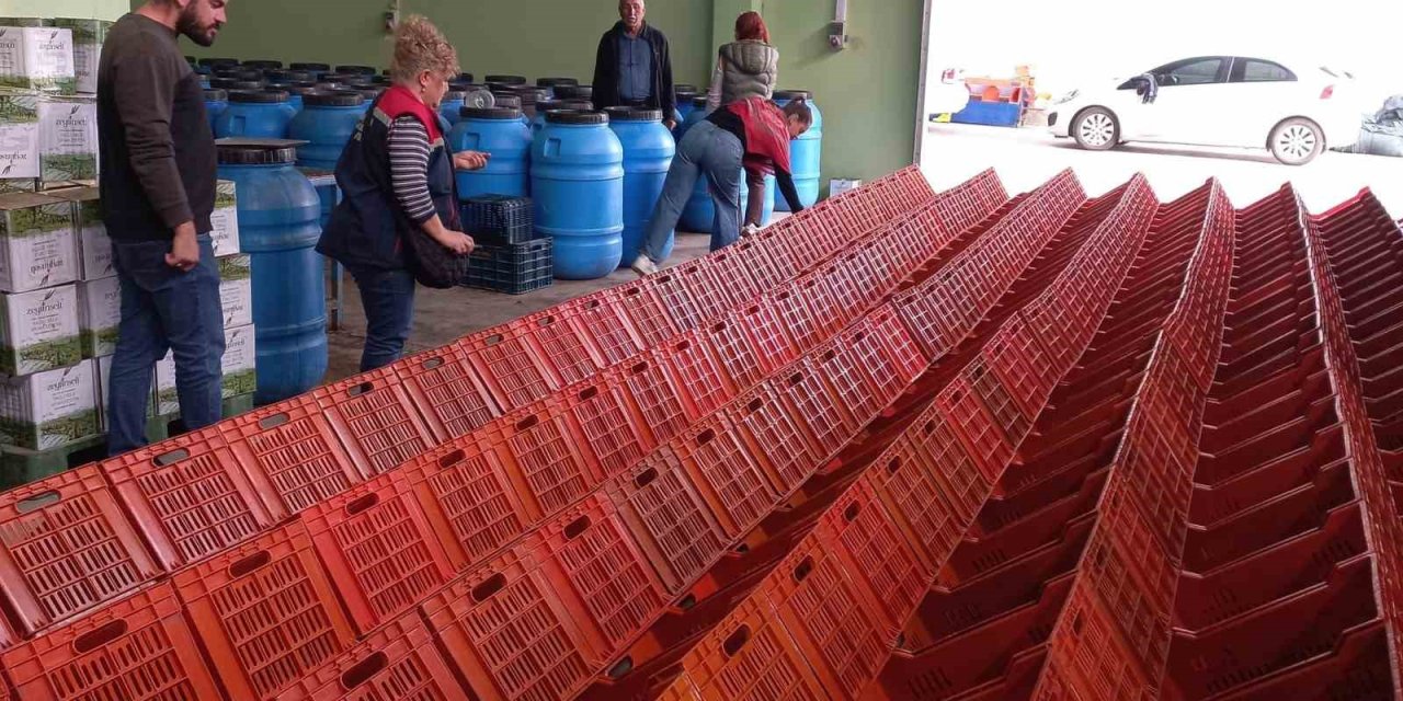 Didim’de organik zeytin ve zeytinyağı üretim alanları denetlendi