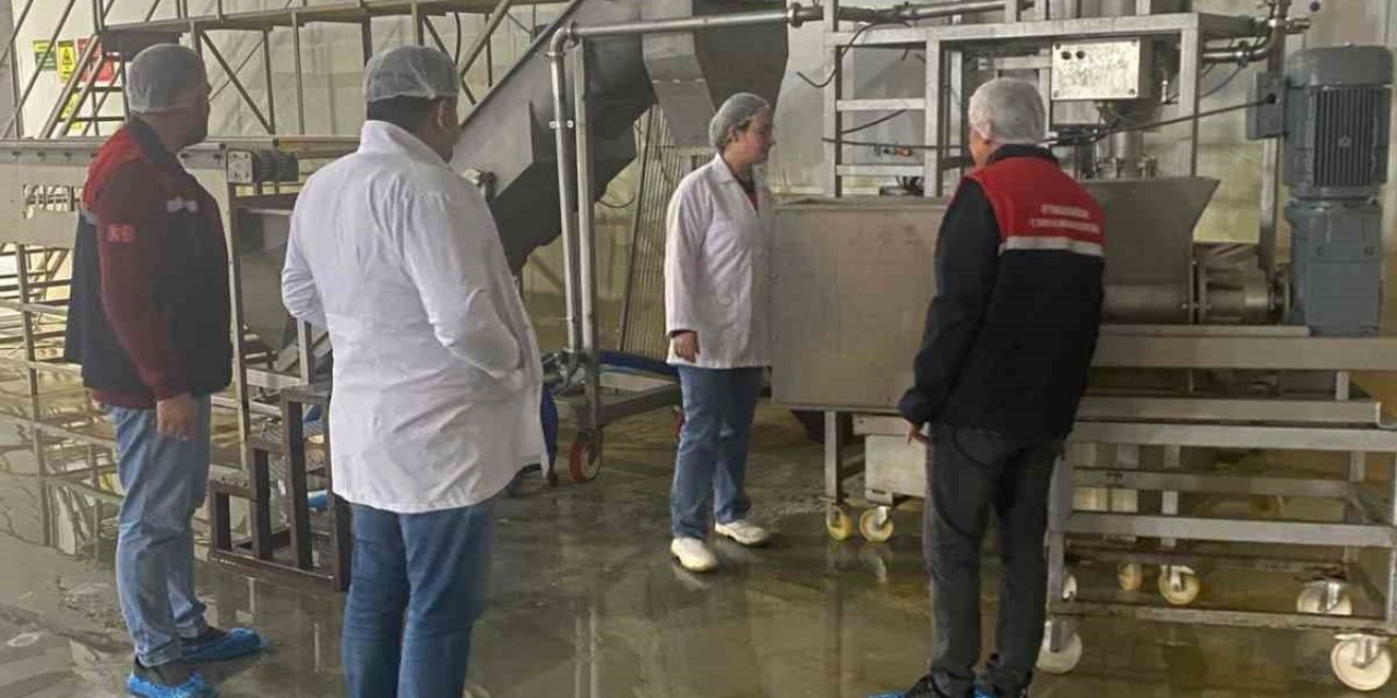 Hayvansal yem üreten işletmeye yönelik denetim