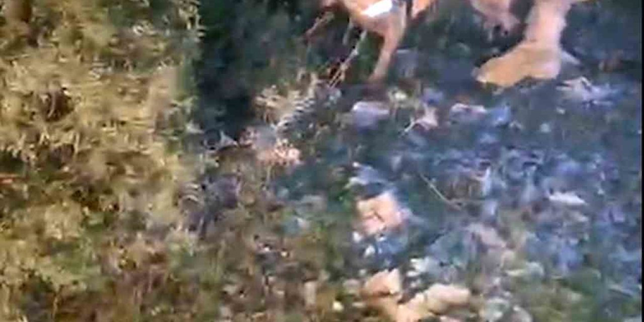 Muğla’da piyasa değeri 4 milyon TL olan uyuşturucu ele geçirildi