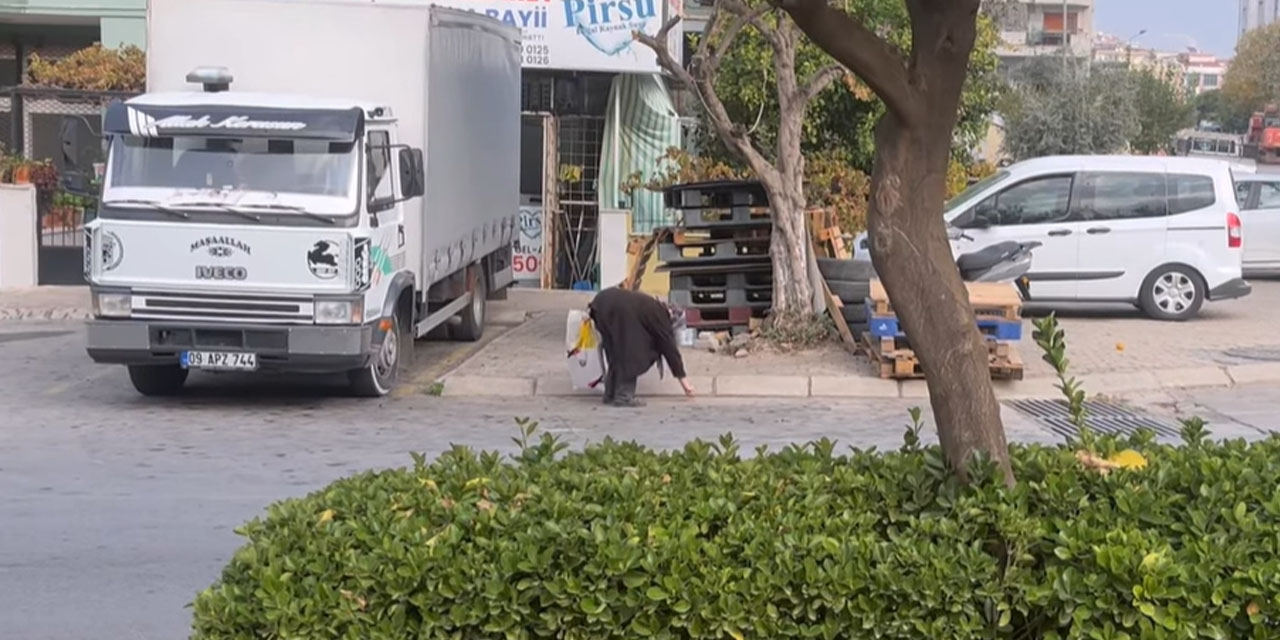 Zeytin üretiminde lider Aydın’da ibretlik görüntüler