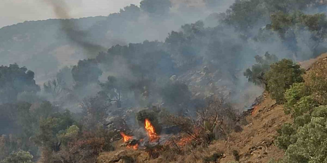Bozdoğan’da orman yangını