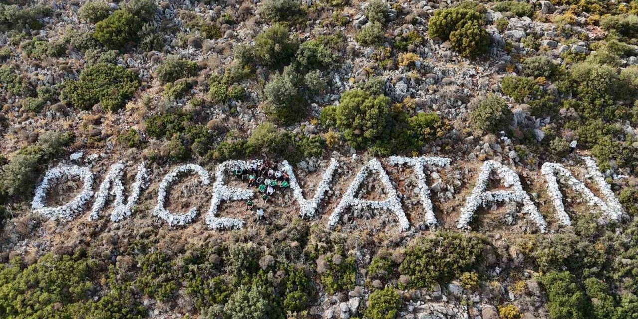 Gençler Datça’nın simgesine sahip çıktılar