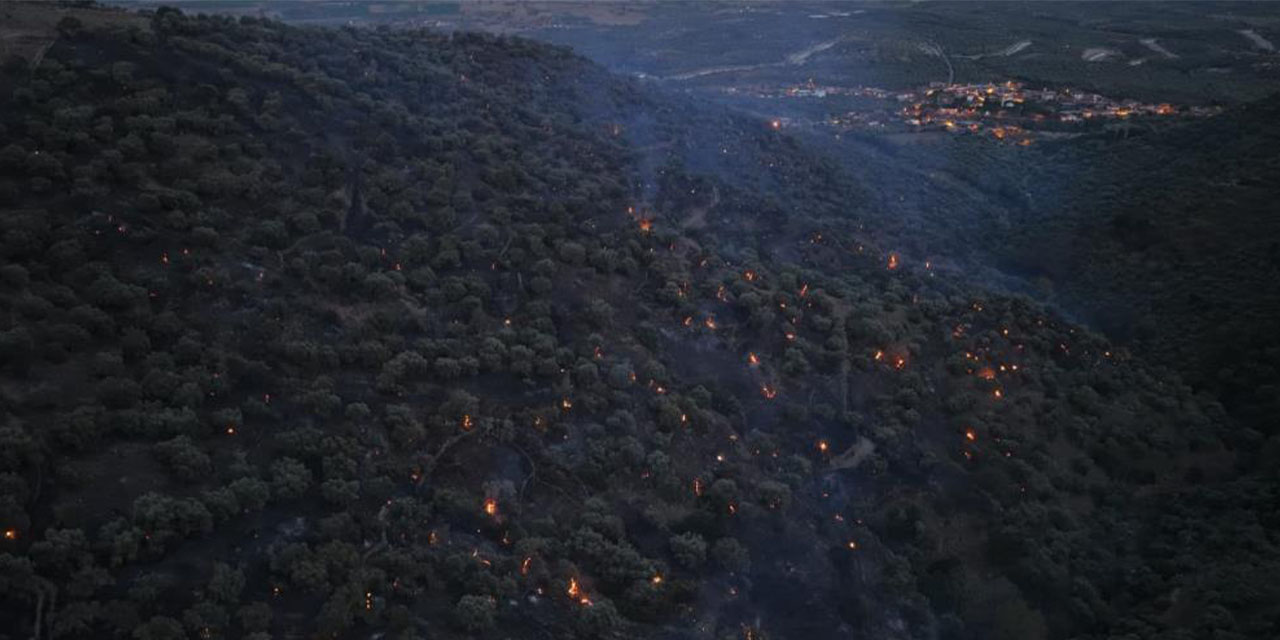 Bozdoğan yangını büyük ölçüde kontrol altına alındı