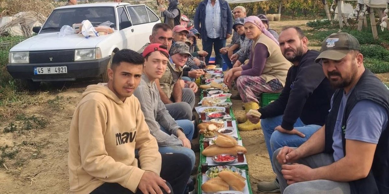 Üzüm alıcısından işçilere ziyafet