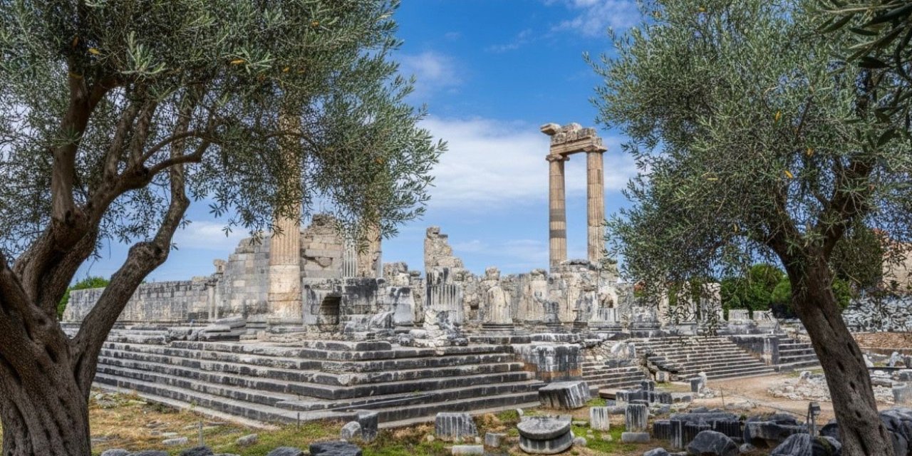 Başkan Gençay: "Zeytin ağacı Didim’in hafızasıdır"