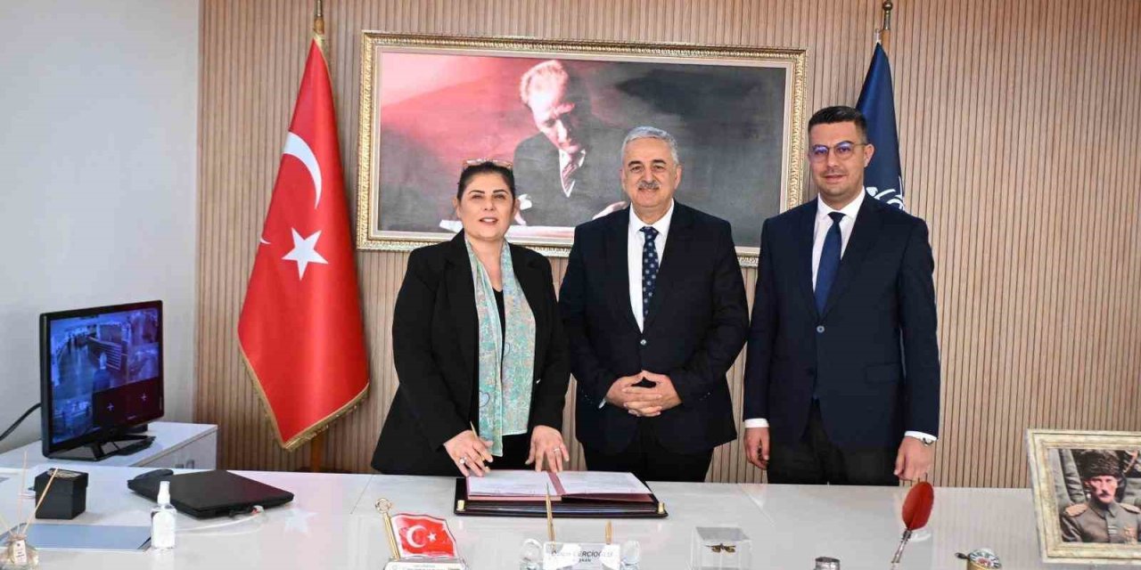 Sokak hayvanları için doğal yaşam alanı oluşturulacak