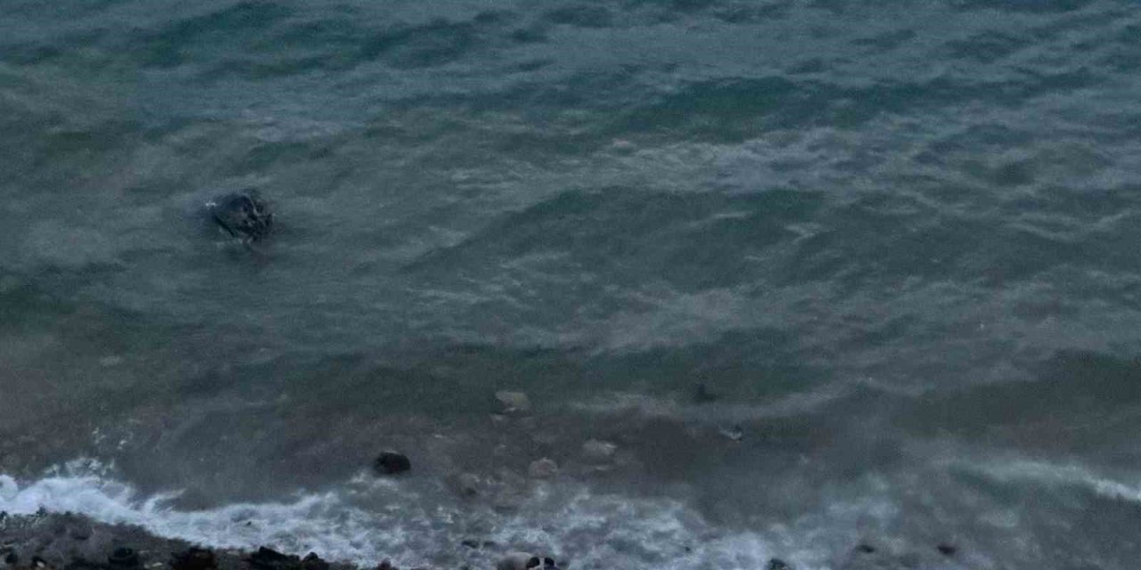 Datça’da virajı alamayan araç denize uçtu: 1 yaralı