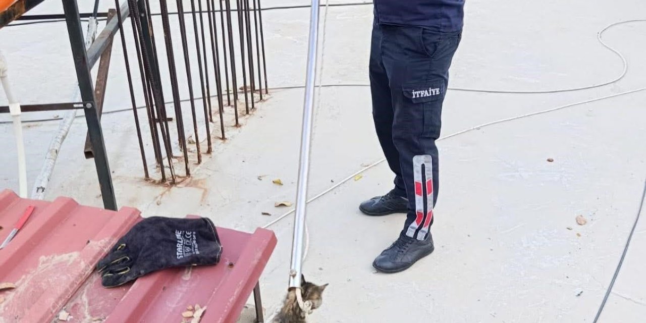 Bacaya sıkışan kediyi itfaiye kurtardı