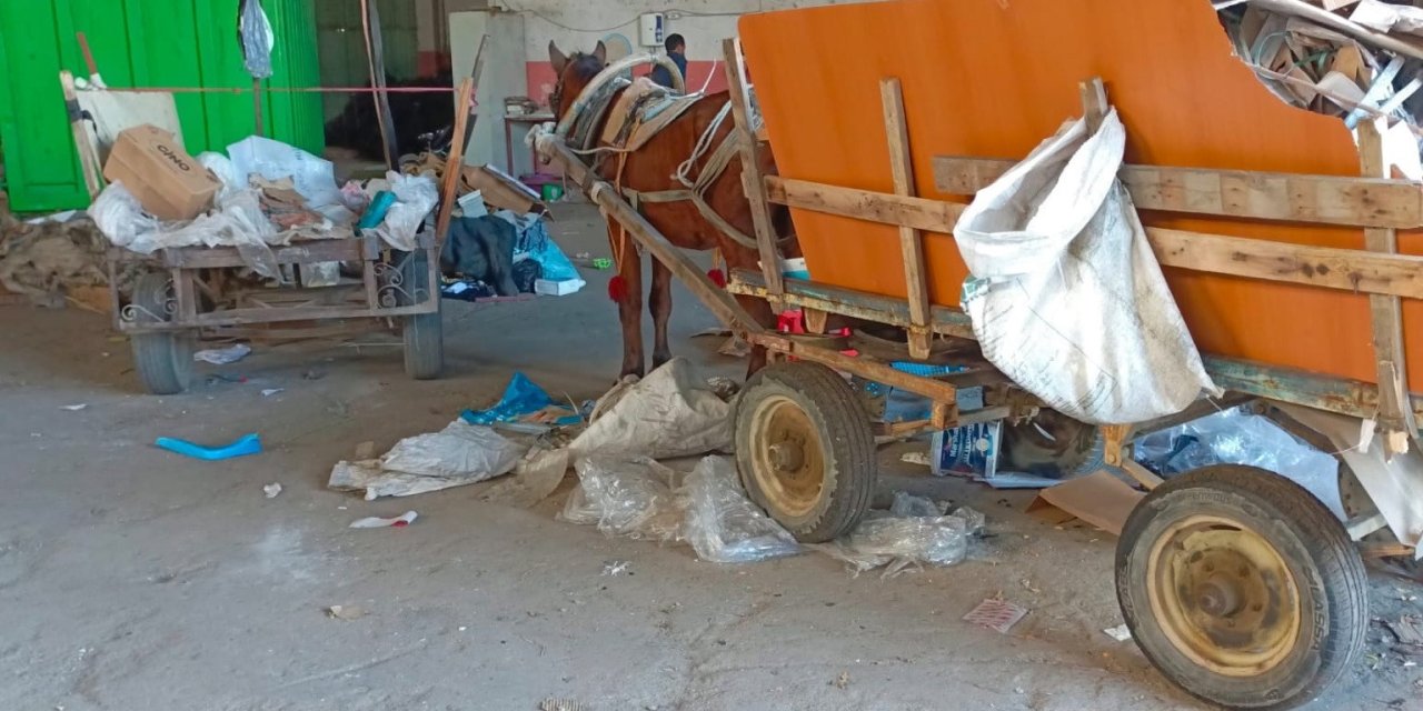 Manisa’da at arabası operasyonu: İki at arabası trafikten men edildi