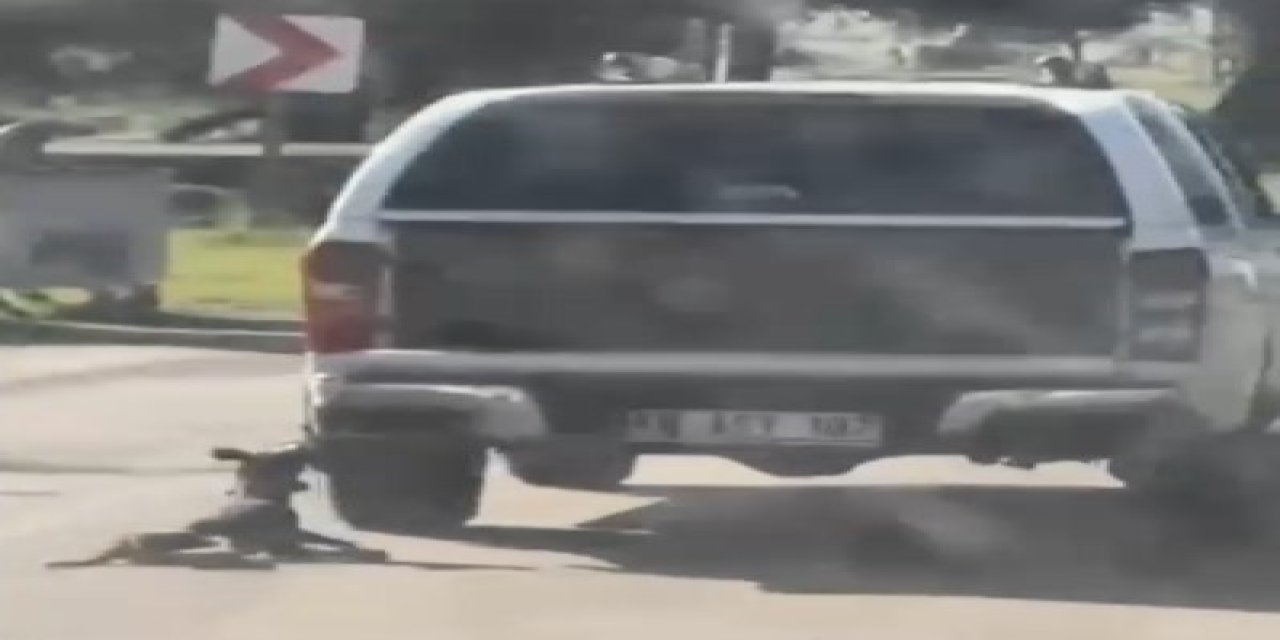 Araçla metrelerce sürüklenen köpek telef oldu: 2 gözaltı