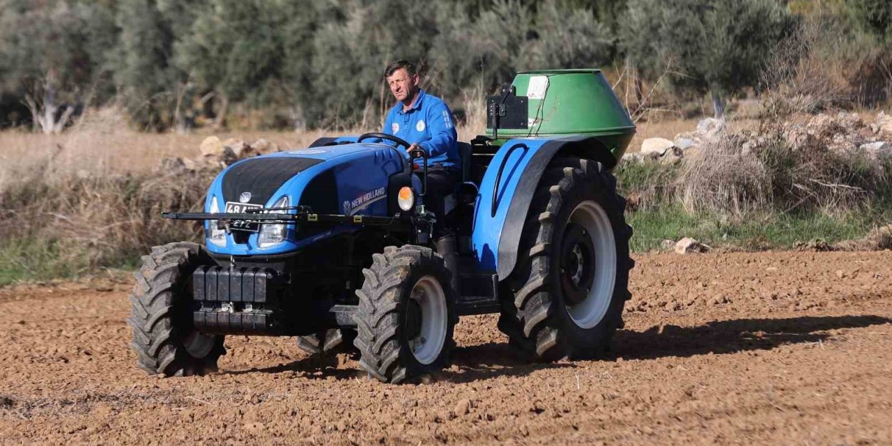 Muğla Büyükşehir’den kaba yem üretimi ile bölge hayvancılığına destek
