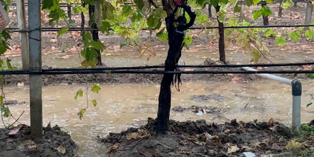 Sarıgöl’de özlenen yağışlar çiftçinin yüzünü güldürdü