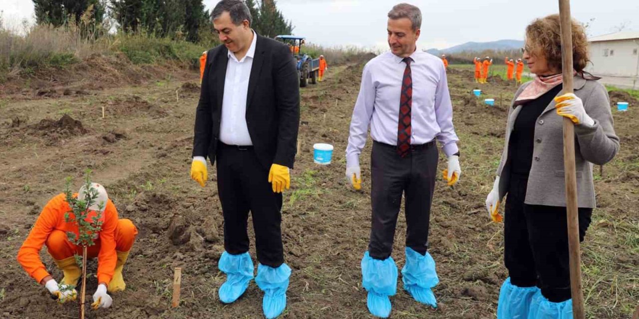 Dalaman Açık Ceza İnfaz Kurumunda 10 dekar alana Sakız ağacı fidanı dikildi