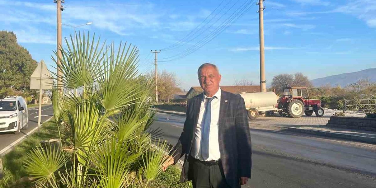 Yeşil Sultanhisar için ağaçlandırma çalışmaları sürüyor