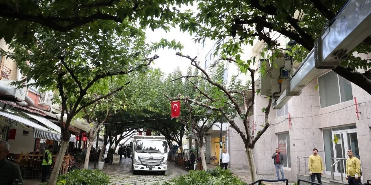 İncirliova Sevgi Yolu’ndaki ağaçlara bakım