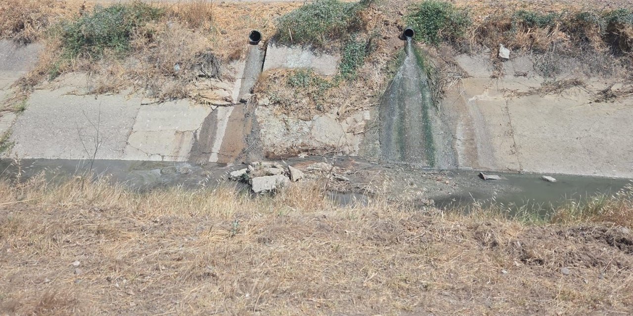 Çevreyi kirleten işletme hakkında yasal işlem başlatıldı