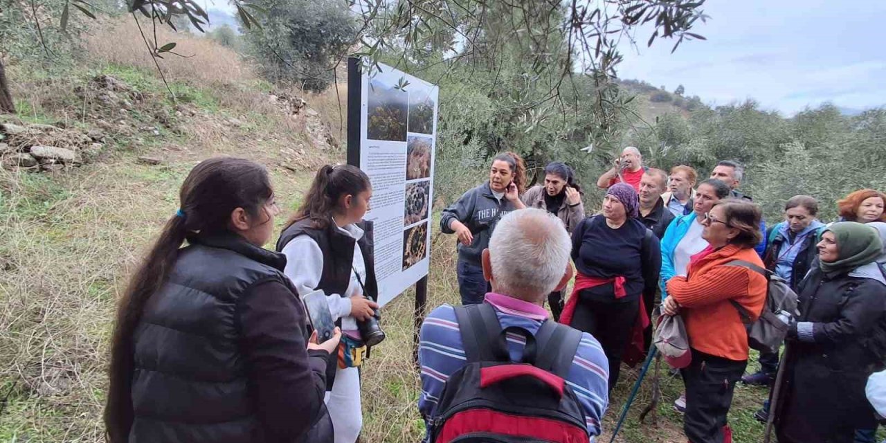 Aydın Büyükşehir’in doğa yürüyüşleri devam ediyor