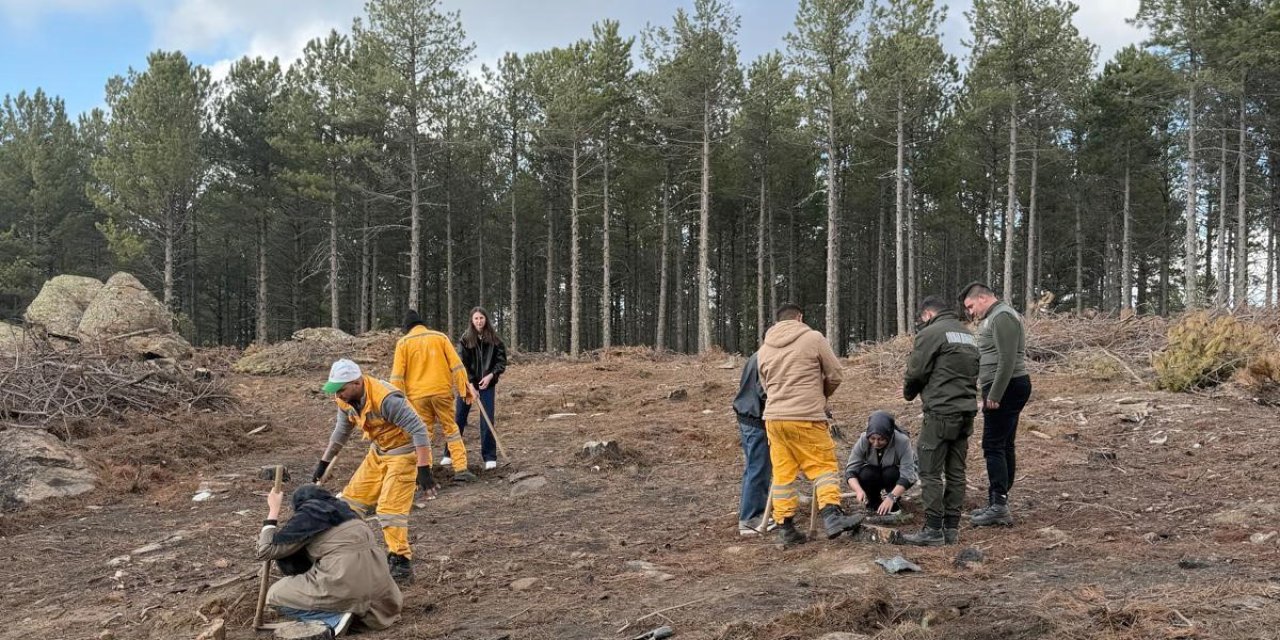 Kırşehir’den gelen üniversite öğrencileri Çine’de fidan dikti