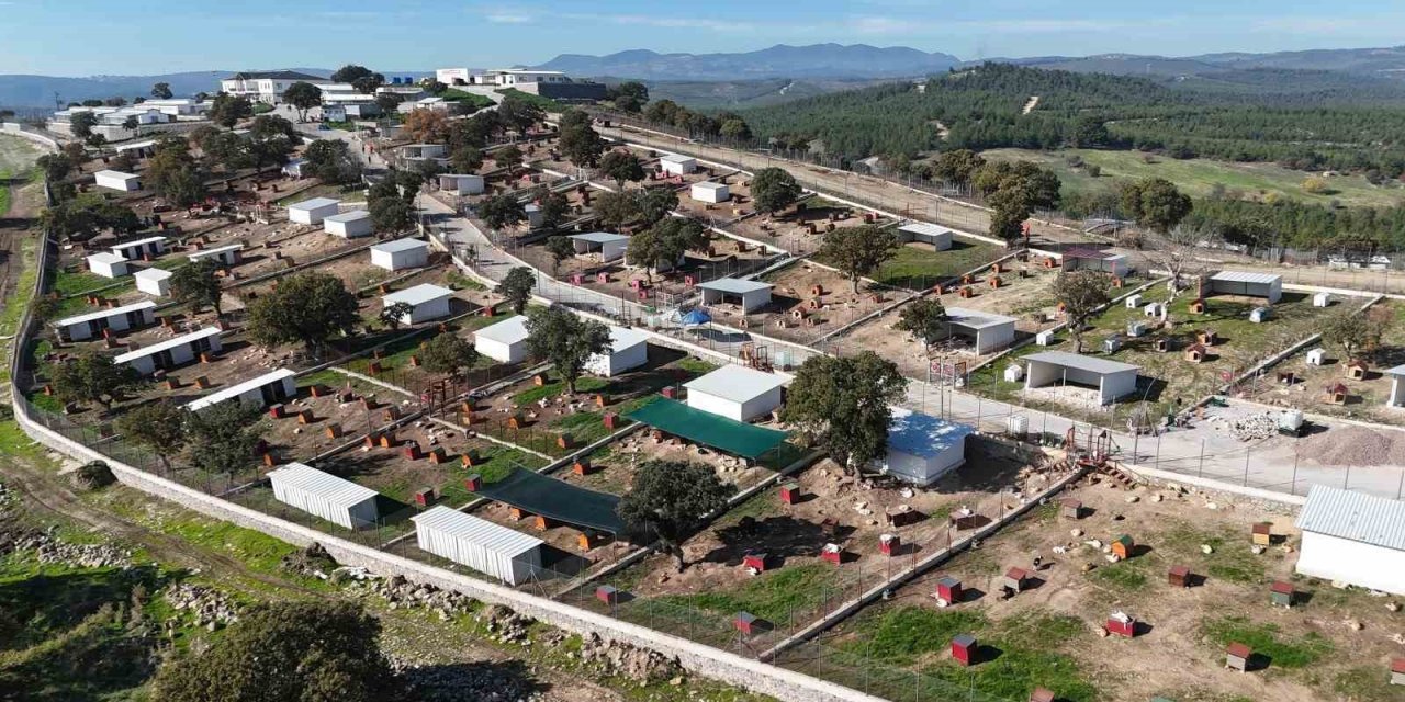 Yunusemre’de sokak hayvanlarına örnek yaşam merkezi