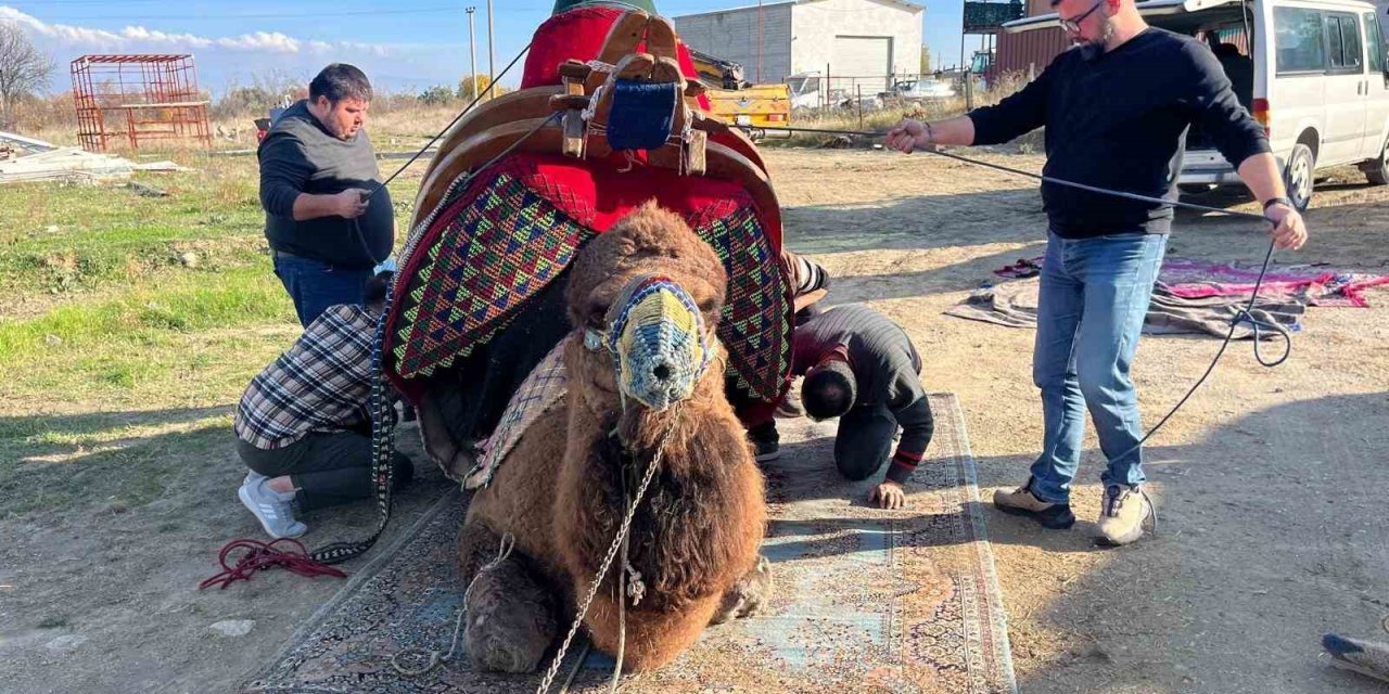 Şampiyon devenin havudu dualarla takıldı