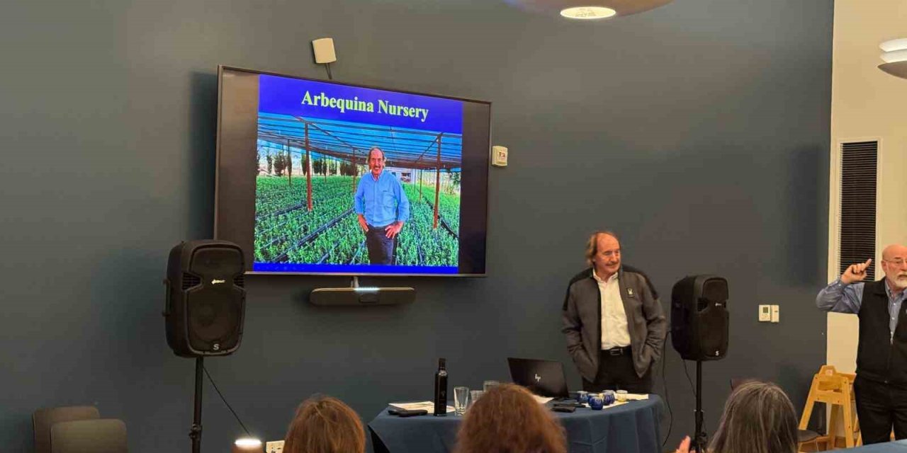 Türk zeytinyağına ABD’de büyük ilgi