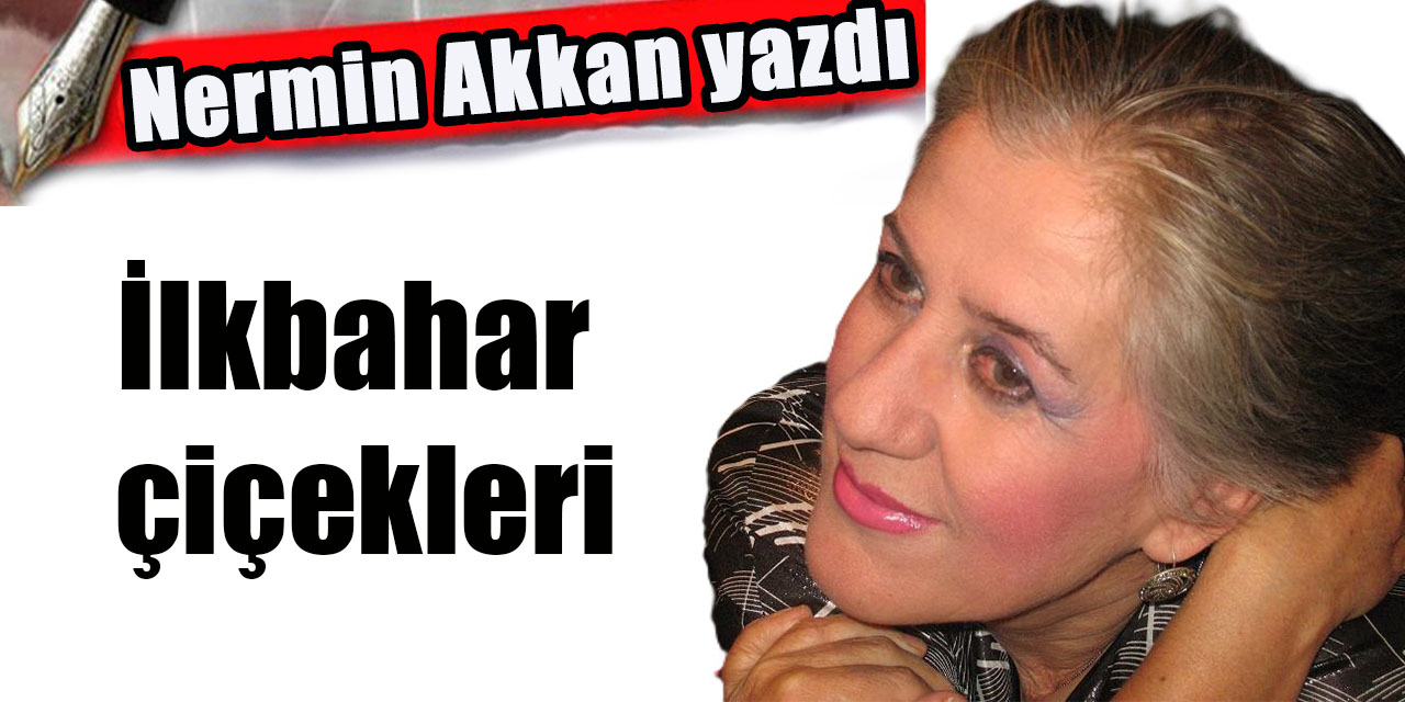 İlkbahar çiçekleri