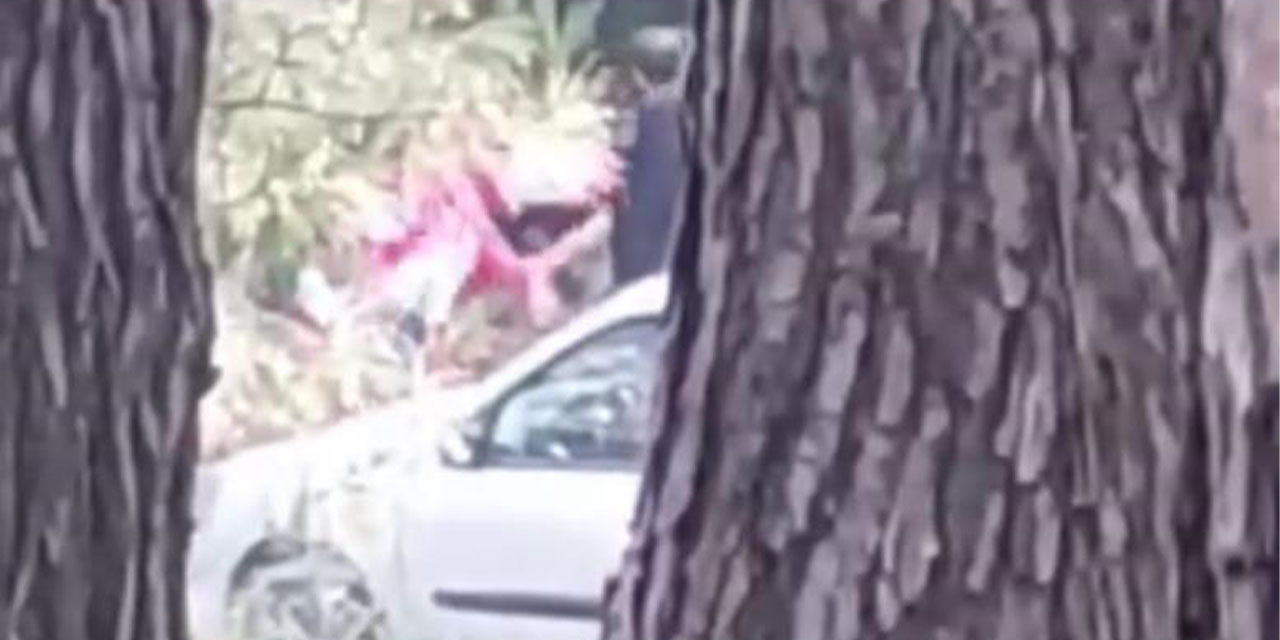 Ormanlık alanda kadını darbeden şüpheli yakalandı